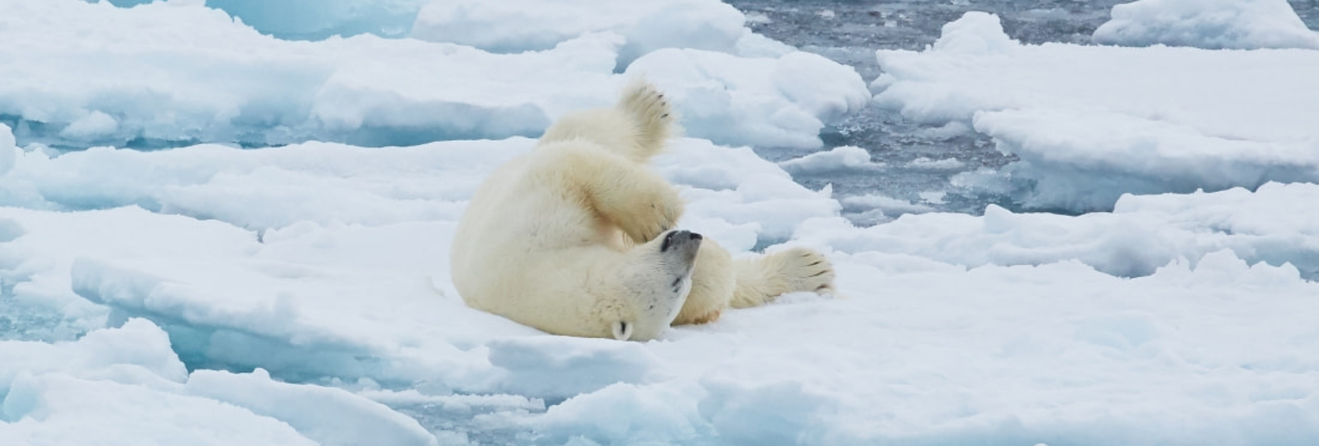 North Spitsbergen Explorer