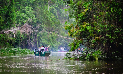 borneo-rainforest-travel