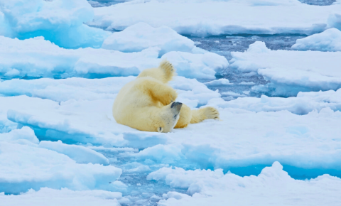 north-spitsbergen-explorer-tour
