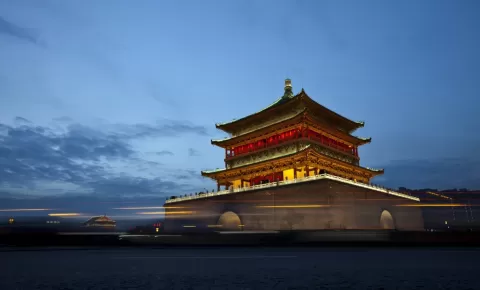  China Wildlife and Culture Exploration