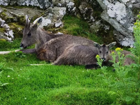  China Wildlife and Culture Exploration