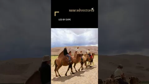 Embedded thumbnail for Mongolia Snow Leopard Expedition | Asian Adventures