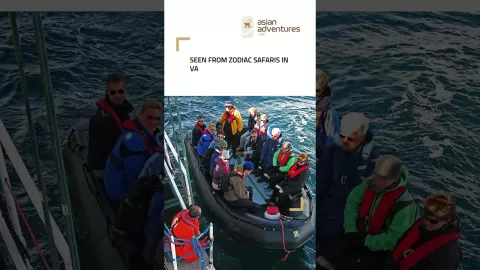 Embedded thumbnail for Asian Adventures presents the Arctic Wildlife Expedition
