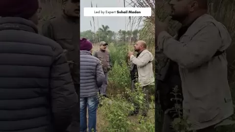 Embedded thumbnail for Living with Birds: Crafting Bird-Friendly Spaces