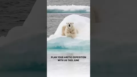 Embedded thumbnail for Embark on the Arctic Expedition this June — before the ice fades away.