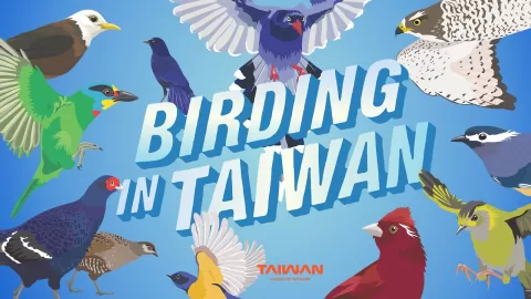 Embedded thumbnail for Uncover Taiwan&#039;s Enchanting Hidden Treasures on a Once-in-a-Lifetime Journey