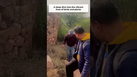 Embedded thumbnail for Delhi Earth Walk at Sanjay Van, guided by Alok Kumar