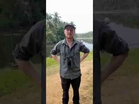 Embedded thumbnail for Amazing Birding Times With Asian Adventures