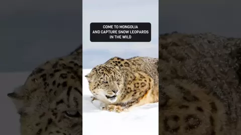 Embedded thumbnail for Mongolia Expedition: Explore More, Discover Deep, Belong Truly