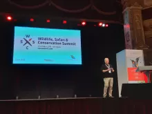Wildlife-and-Safari-Travel-Show