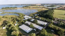 Global Birdfair in Rutland