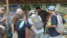 International Events