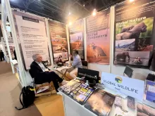 The Great Indian Travel Bazaar