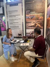 The Great Indian Travel Bazaar