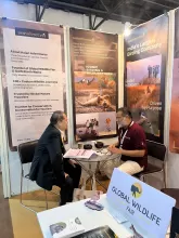 The Great Indian Travel Bazaar