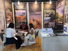 The Great Indian Travel Bazaar