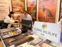 The Great Indian Travel Bazaar