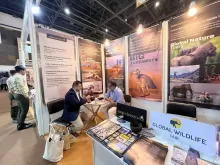 The Great Indian Travel Bazaar