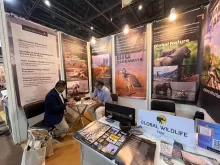 The Great Indian Travel Bazaar