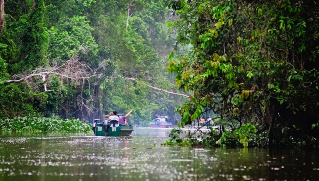 borneo-rainforest-travel